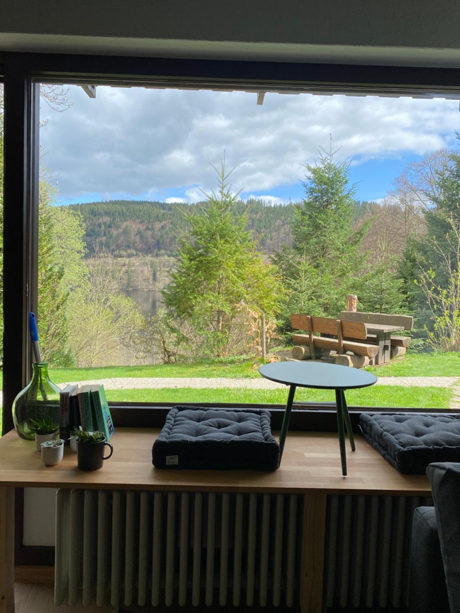 Black Forest Apartments Titisee Bagian luar foto